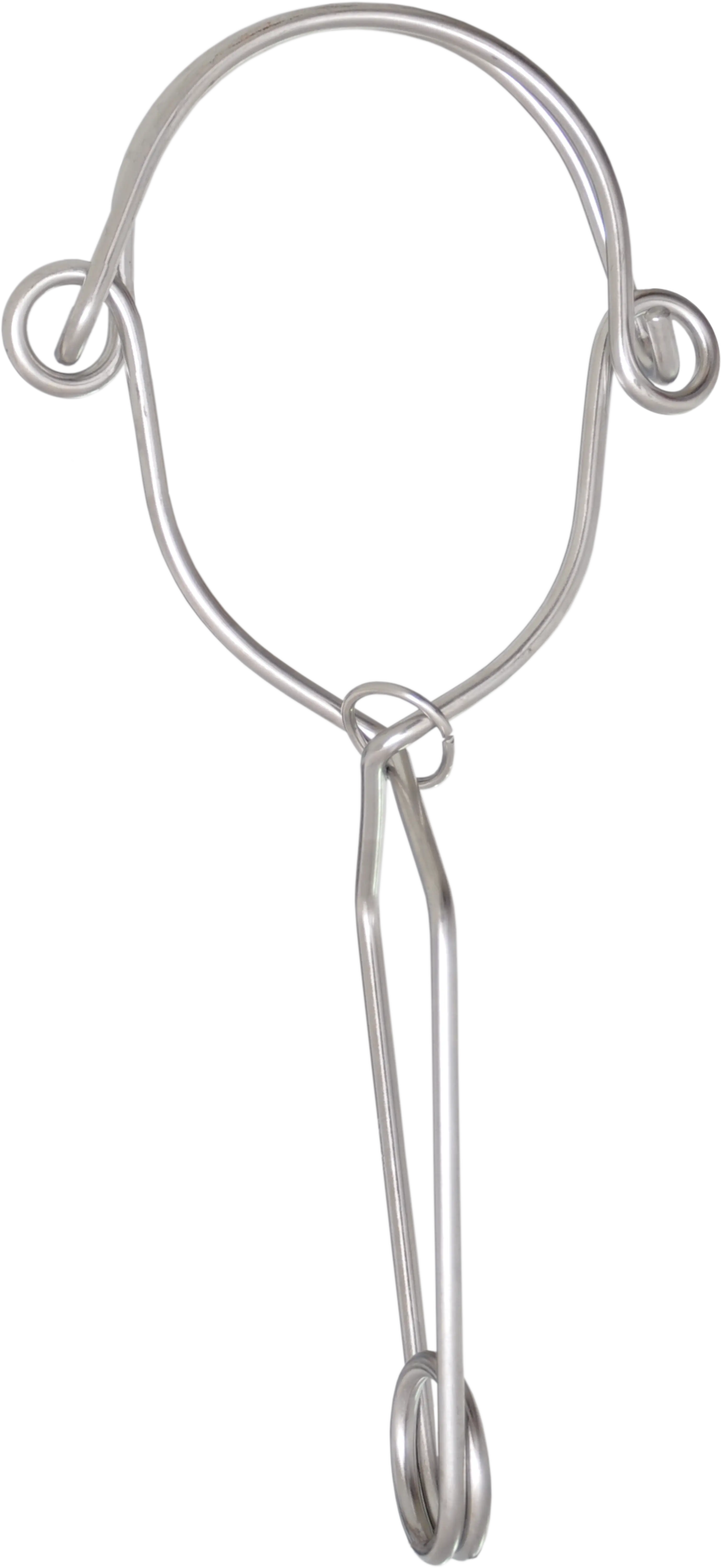 Edelstahl-Befestigungshaken doppelt wirkend