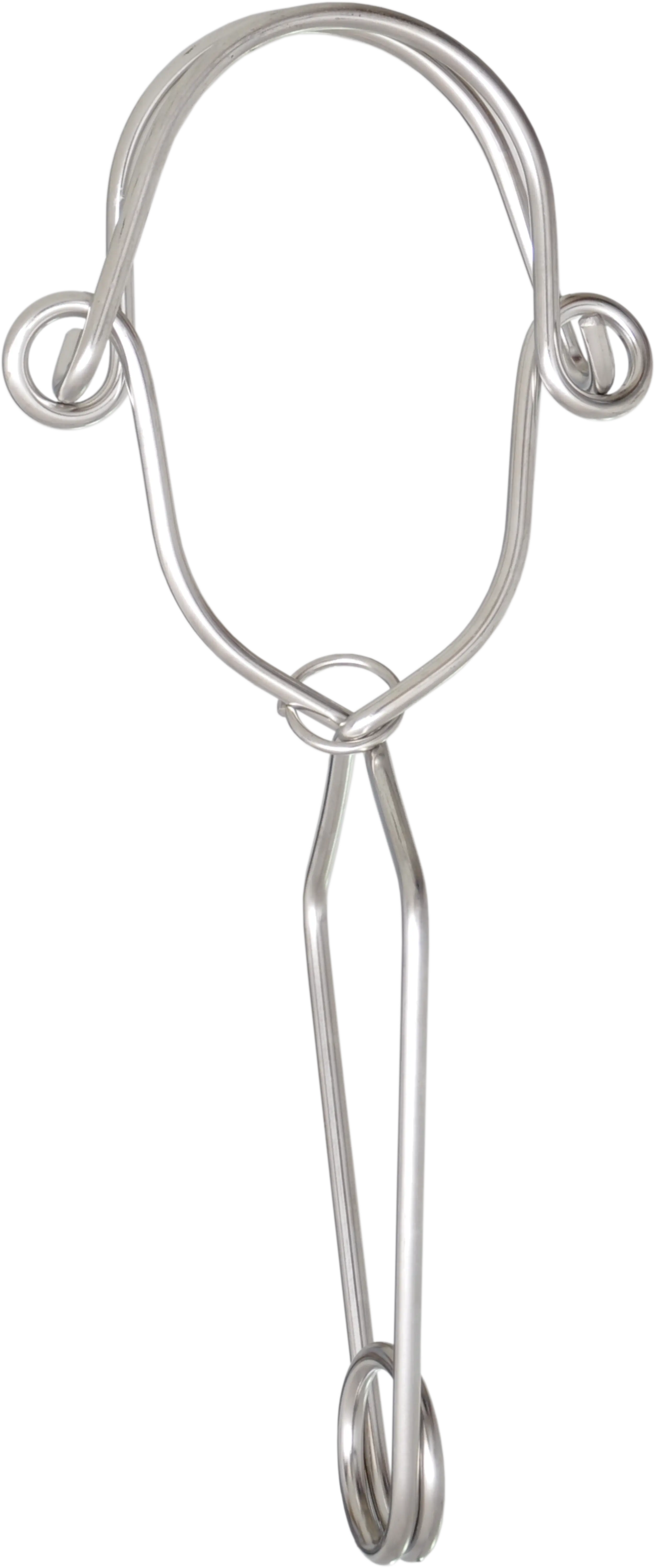 Edelstahl-Befestigungshaken doppelt wirkend