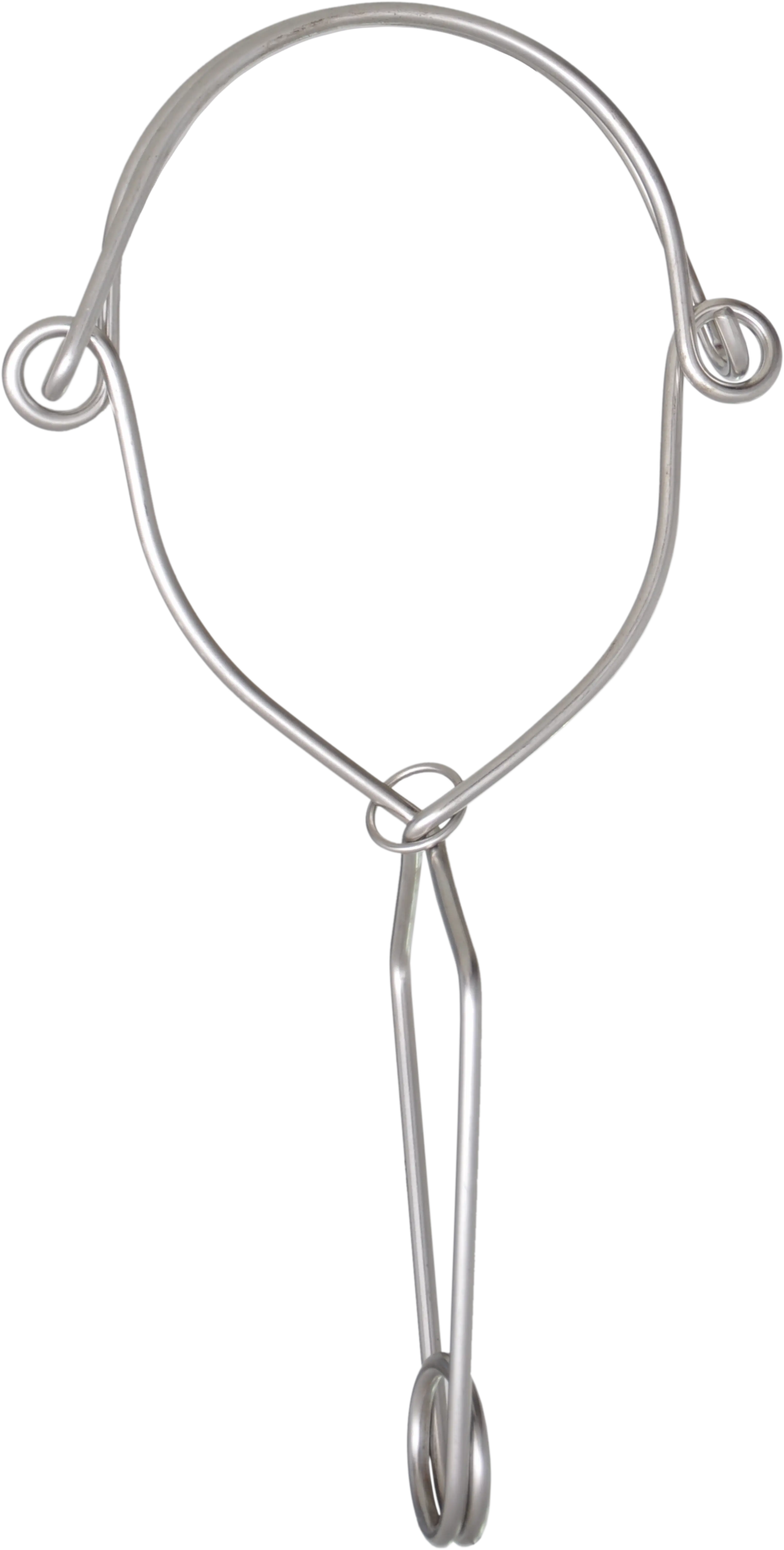 Edelstahl-Befestigungshaken doppelt wirkend