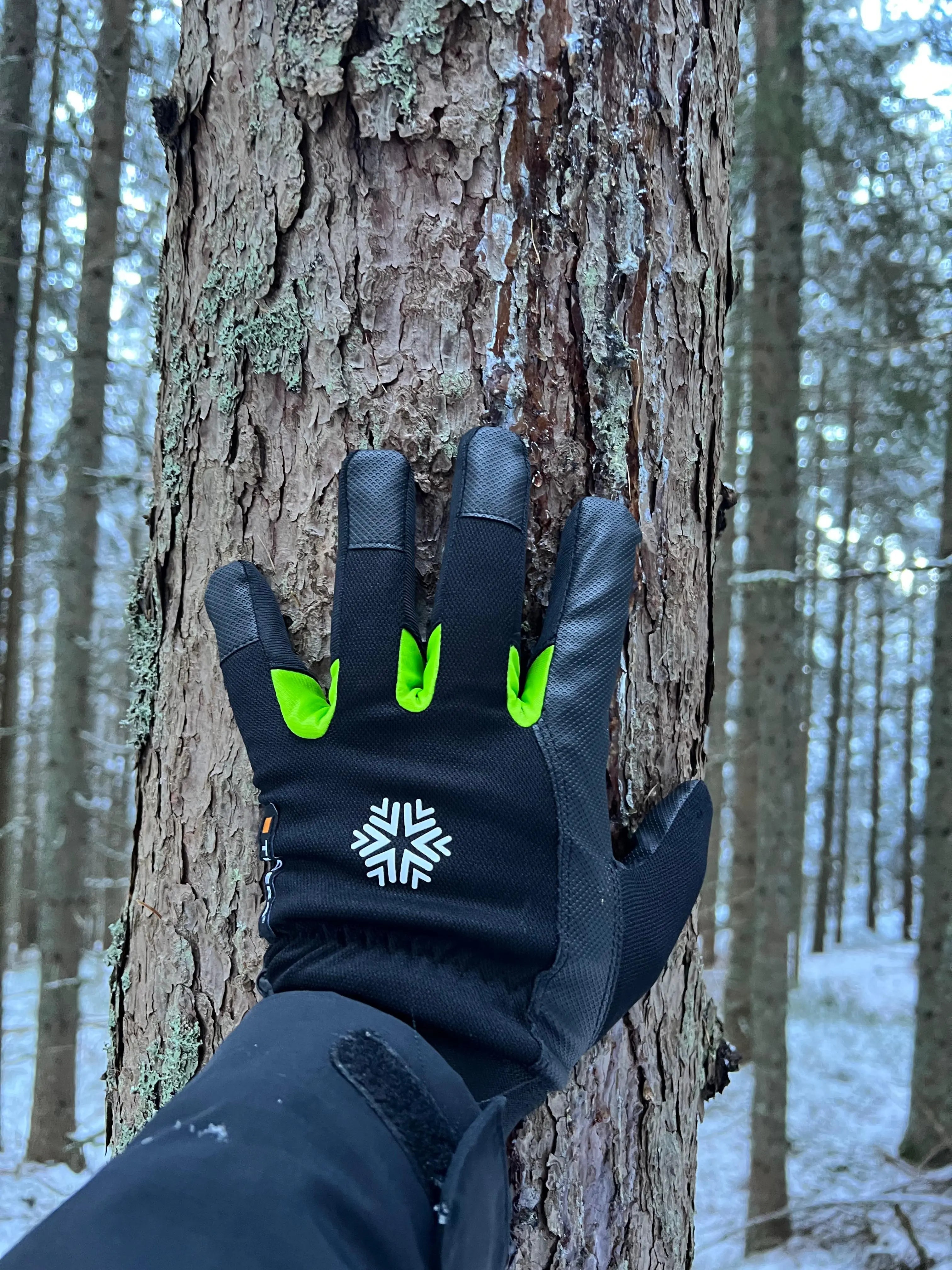 Winter Handschuhe TEGERA 517 Arbeitshandschuhe gefüttert 6 Paar EJENDALS